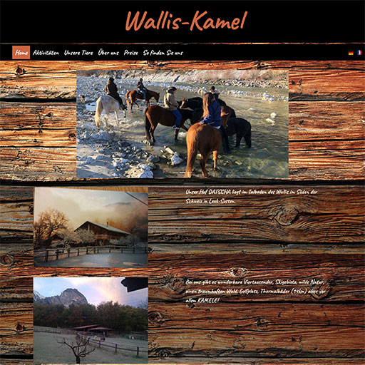 Wallis-kamel